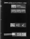 Two Girls and a Man: Monument; Tobacco; Officers (12 Negatives (October 19, 1967) [Sleeve 50, Folder a, Box 44]